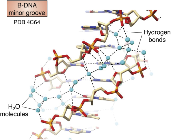 Figure 3