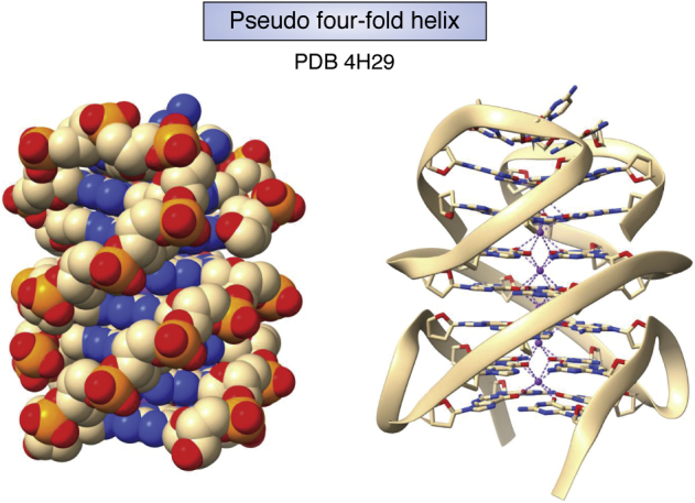 Figure 6