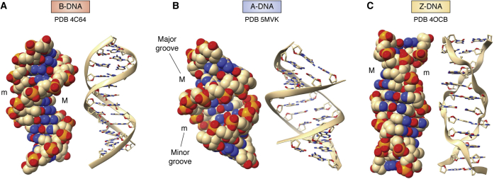 Figure 2