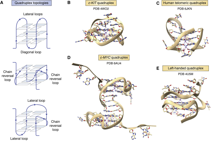 Figure 7