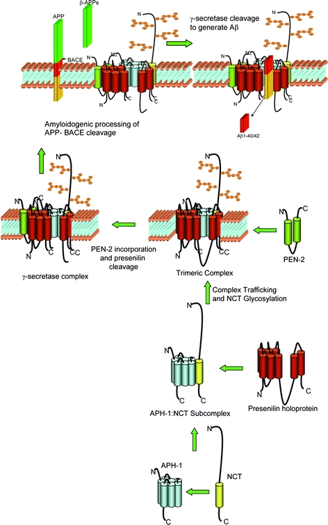 Fig 1