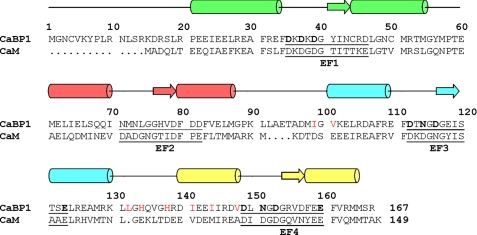 FIGURE 1.