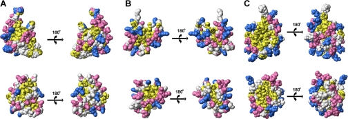 FIGURE 4.