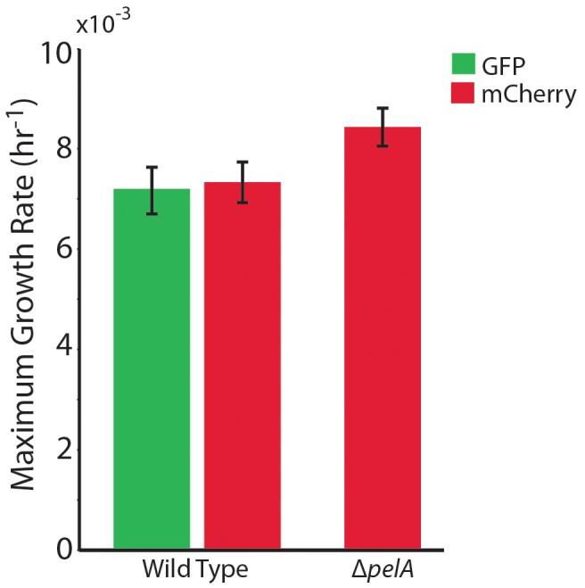 Figure 1—figure supplement 1.