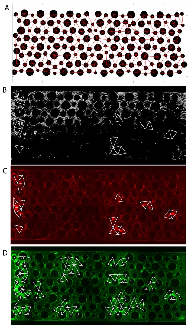 Figure 3—figure supplement 2.