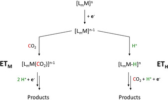 Scheme 2