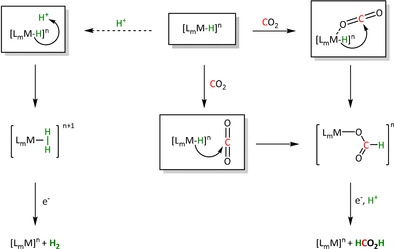 Scheme 6