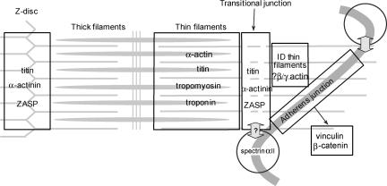 Figure 11.