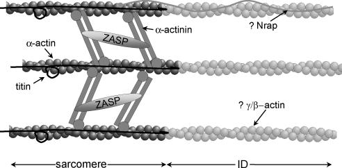 Figure 10.