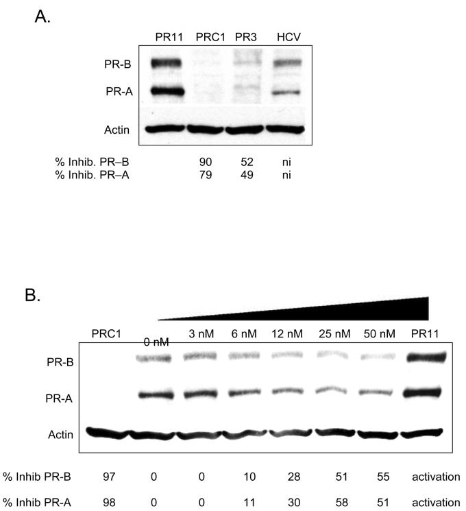 FIGURE 11