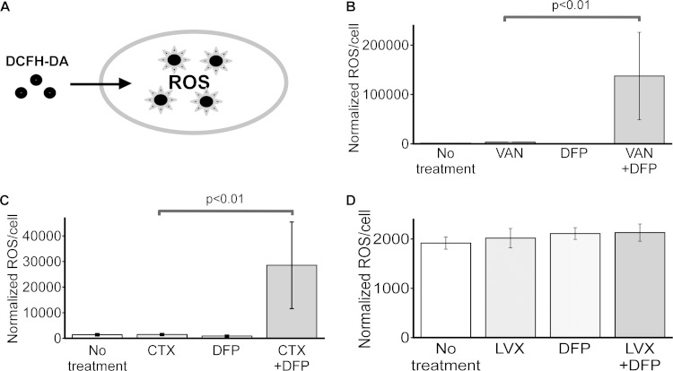 FIG 6