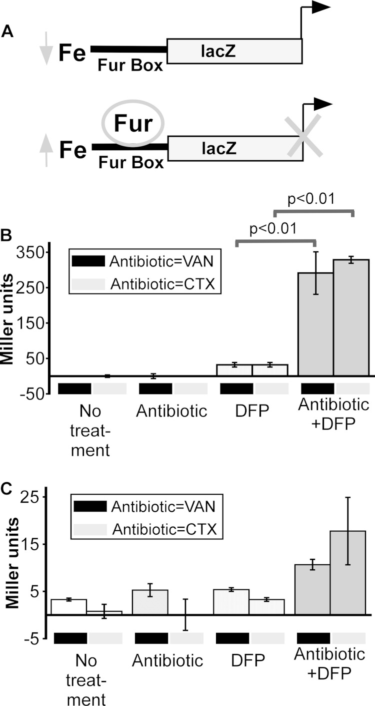 FIG 4