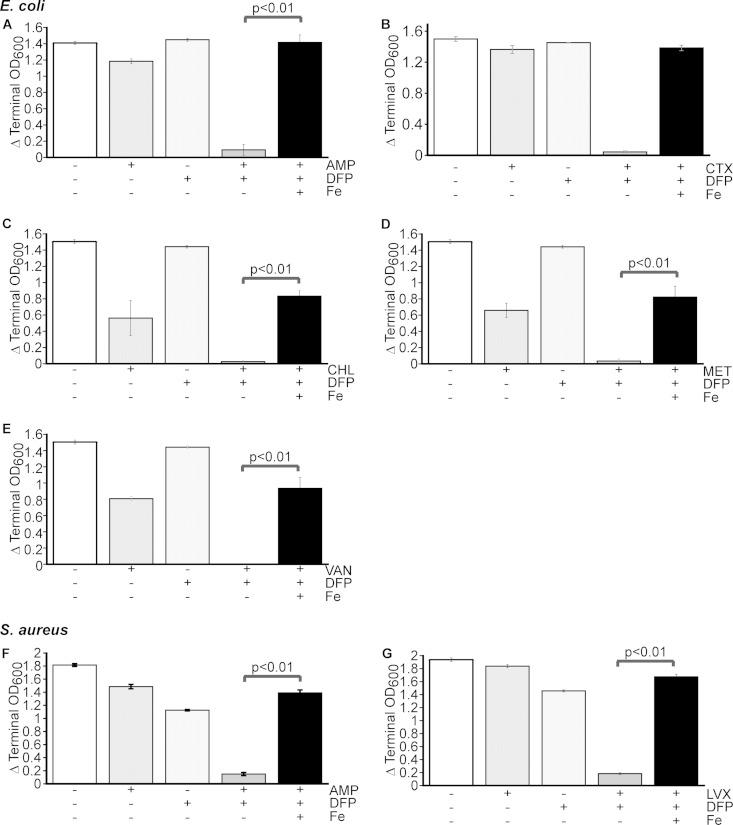 FIG 2