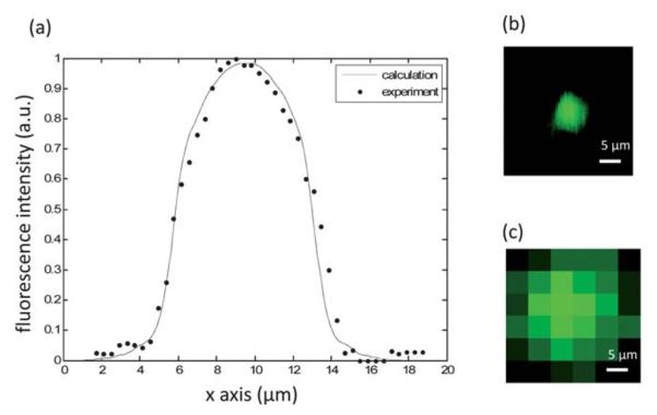 Fig. 4