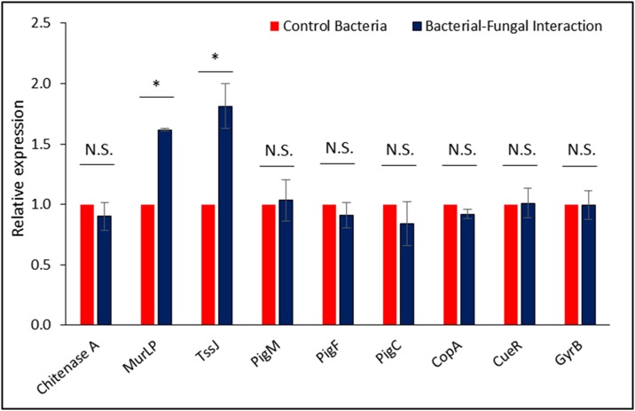 Fig 6