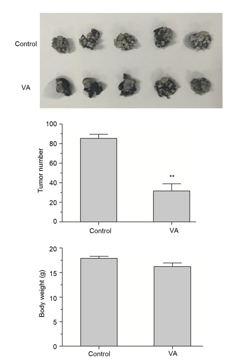 Fig. 10