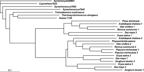 Fig. 1