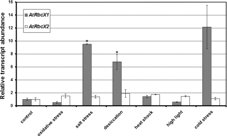 Fig. 6