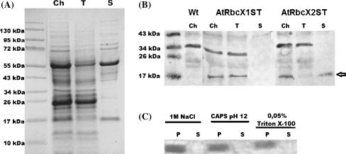 Fig. 2