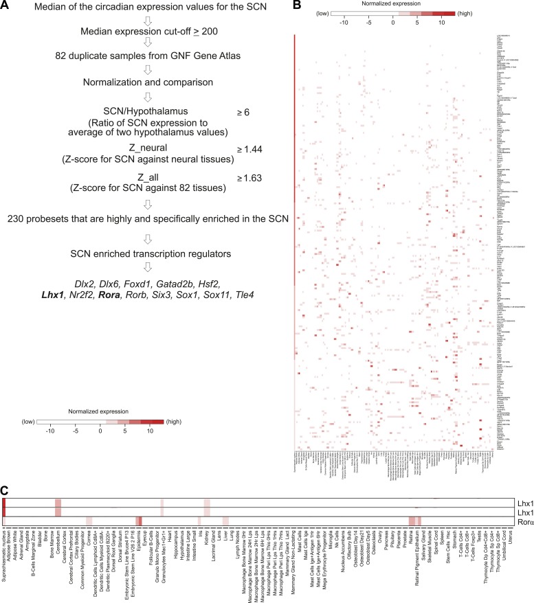 Figure 1—figure supplement 3.