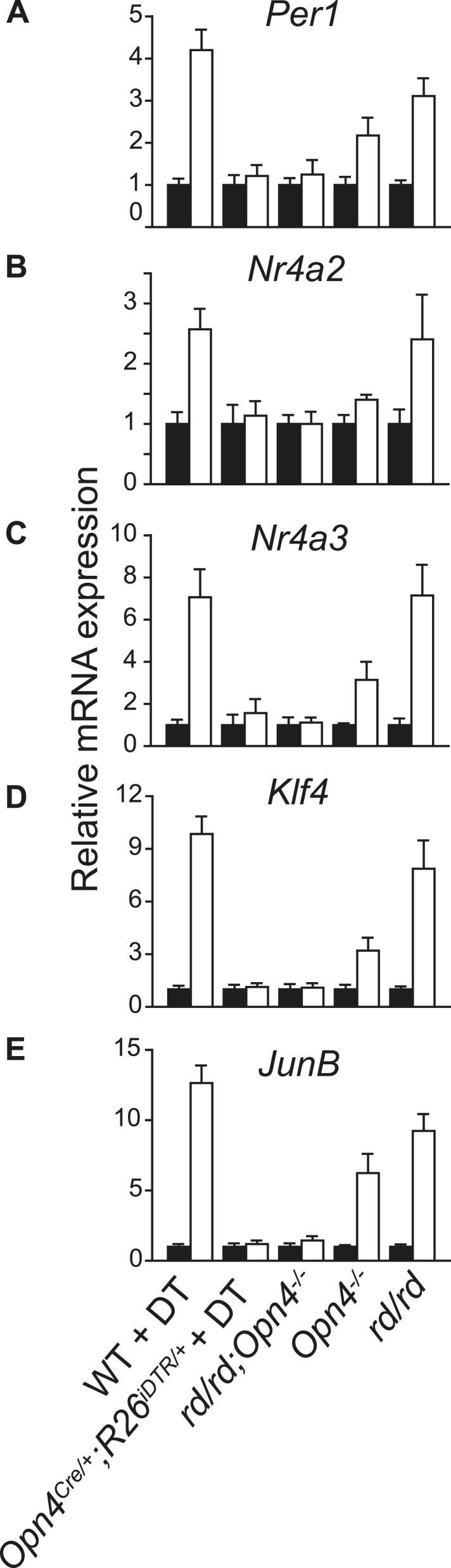 Figure 1—figure supplement 2.