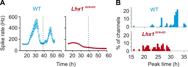 Figure 4—figure supplement 1.