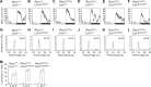 Figure 2—figure supplement 2.