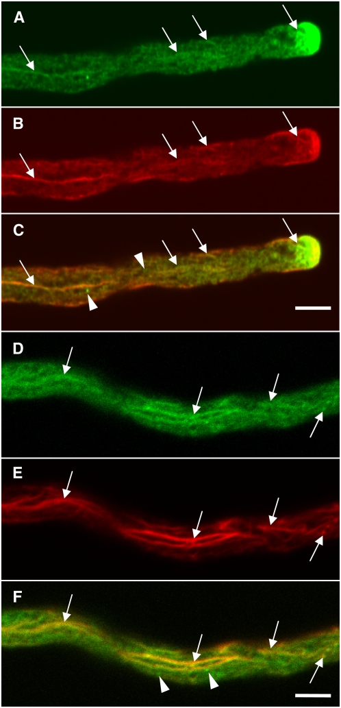 Figure 5.