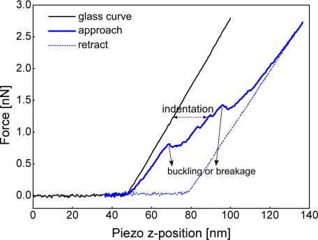 Fig. 2.