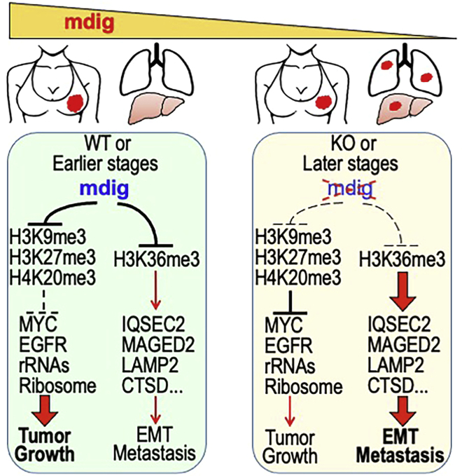 Figure 12