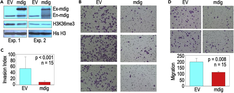 Figure 11