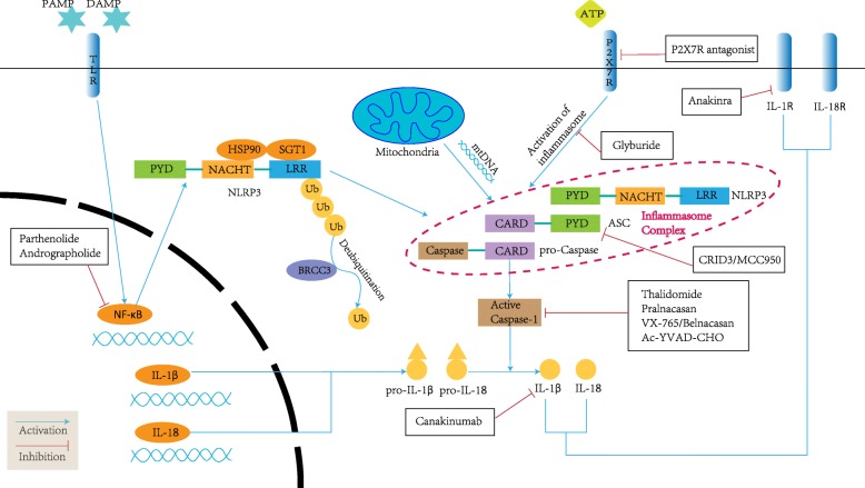 Fig. 2