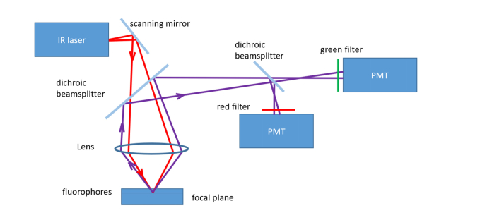 Fig. 3