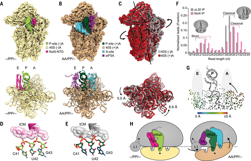 Fig. 4.