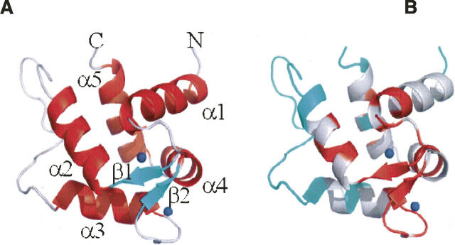 Figure 5.