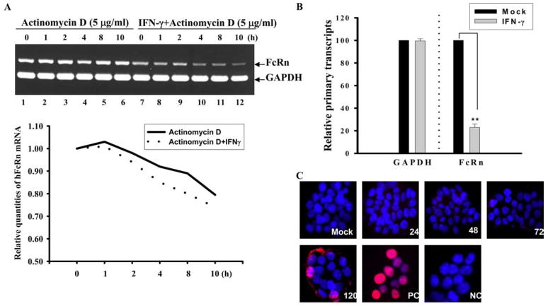 FIGURE 3