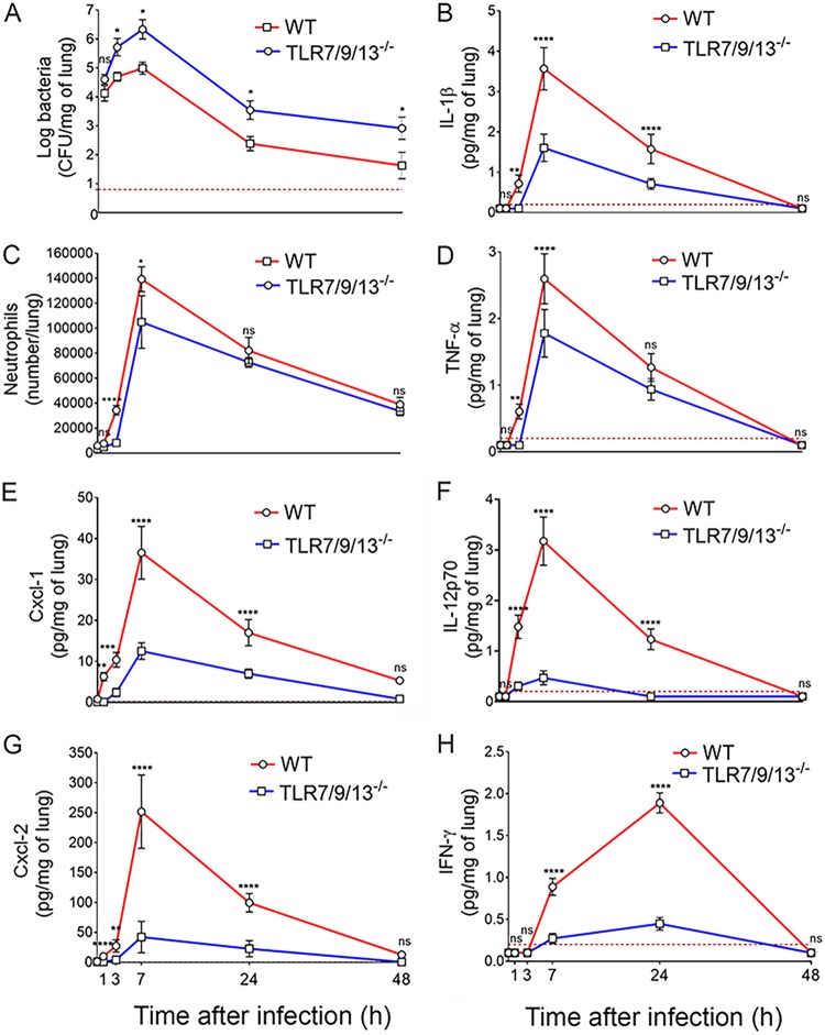 FIG 4