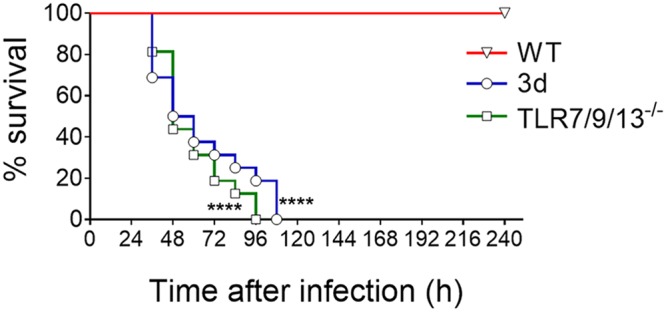 FIG 3