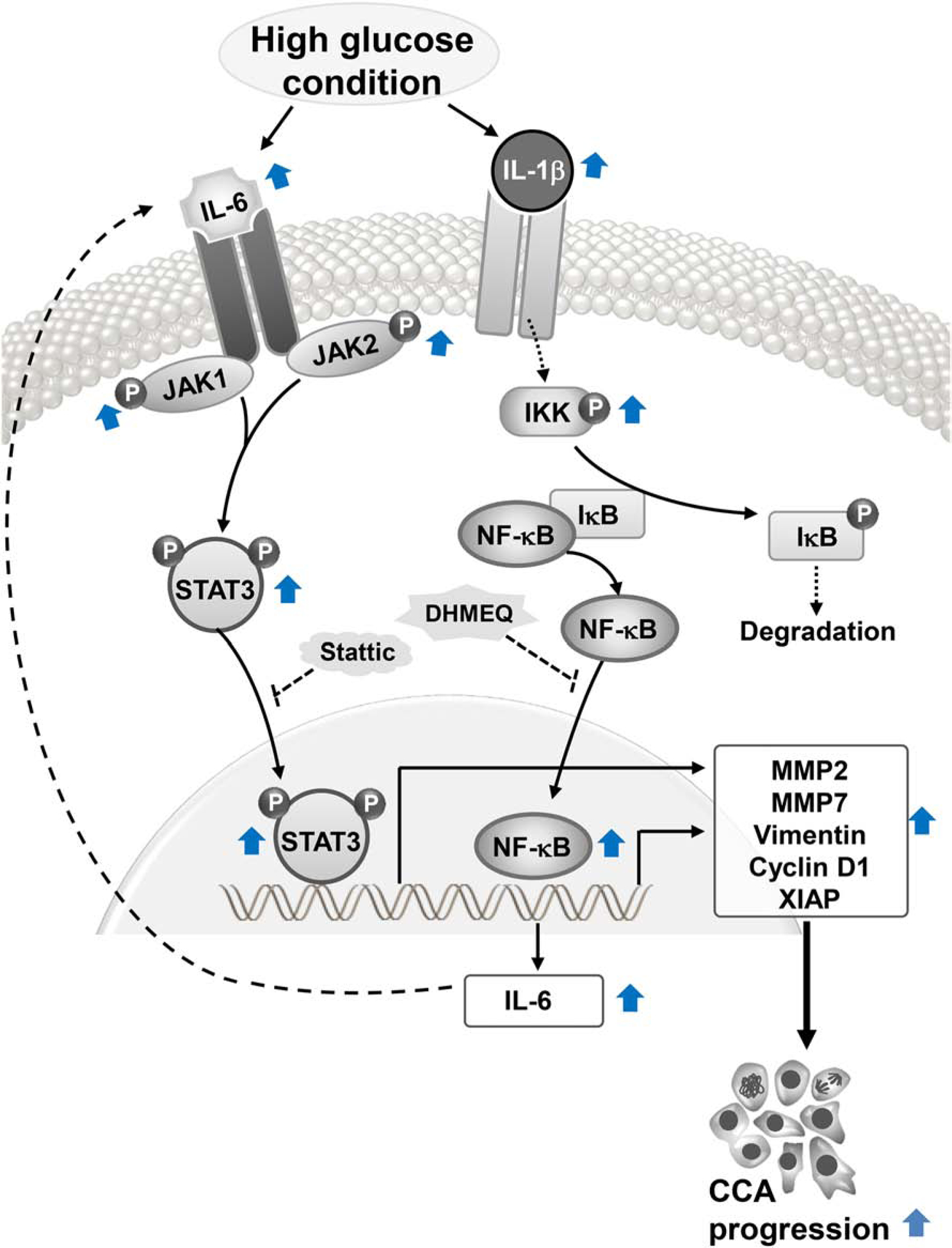 Figure 6.