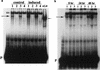 FIG. 8