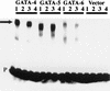 FIG. 5