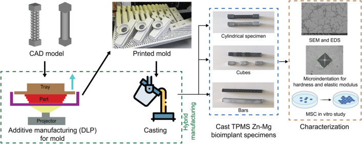 graphic file with name 44164_2024_77_Figa_HTML.jpg