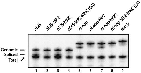 FIG. 5.