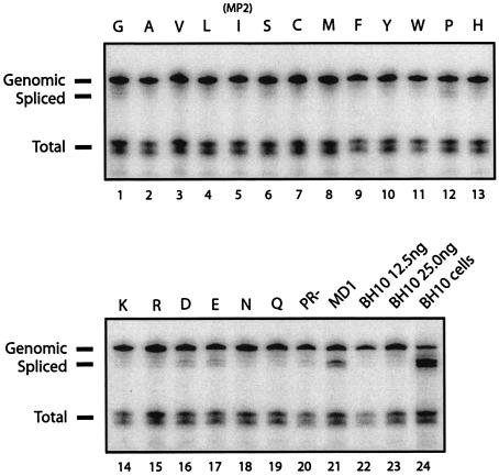 FIG. 6.