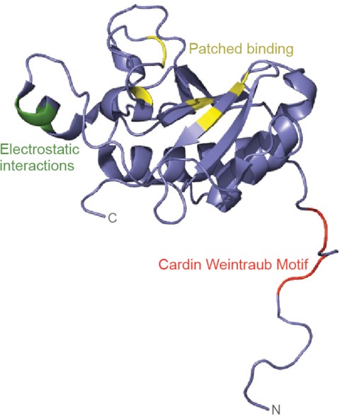 FIGURE 2.