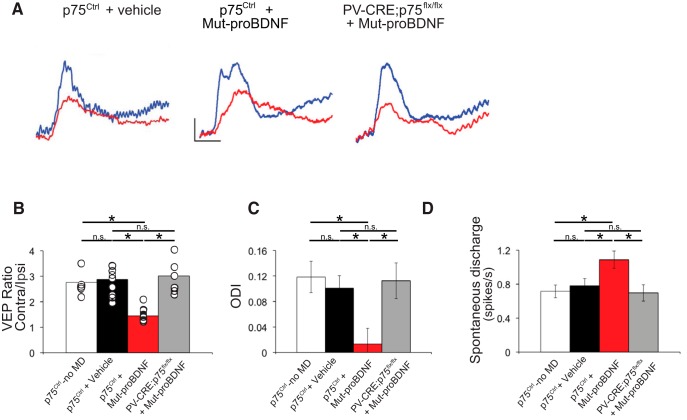 Figure 12.