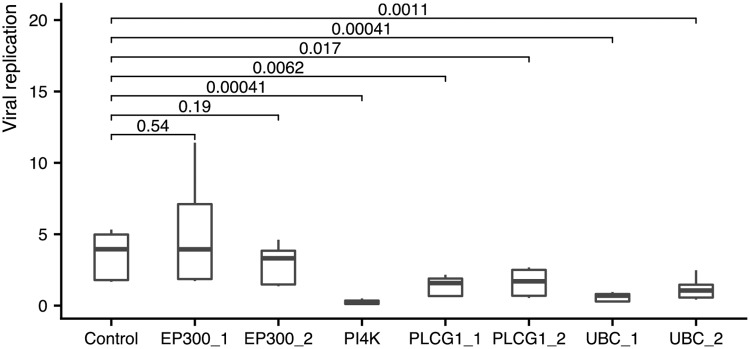 Fig 5