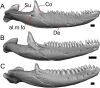 Fig. 43