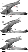 Fig. 32