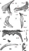 Fig. 8